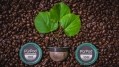 Compostable coffee pods 